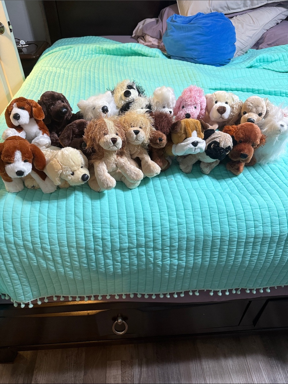 Webkinz dog bundle (no code) this is the individual price (read description)